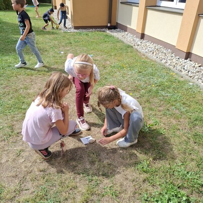 ac078cf3-7bdc-4959-a4ec-d5d07752db5b ac078cf3-7bdc-4959-a4ec-d5d07752db5b.jpg