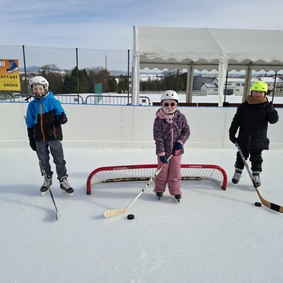 Obrázek - 97380772-137e-4624-a3de-29adc88d5fa5