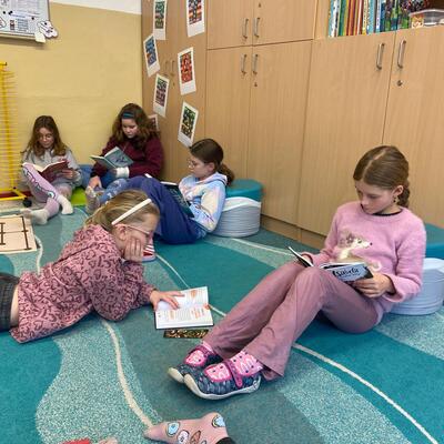 img-20260201-wa0002 Obrázek - img-20260201-wa0002