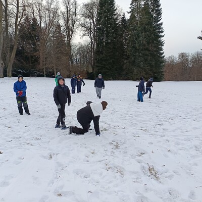 img 20260106 121813 Obrázek - img 20260106 121813