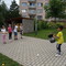 IMG_20250602_135250.jpg
